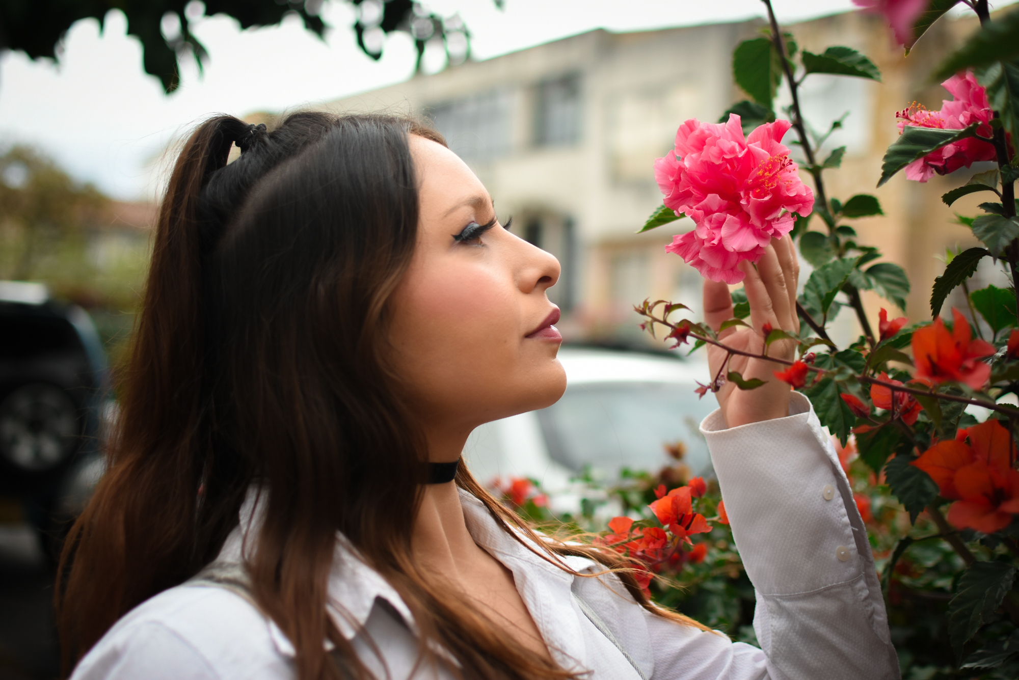 Live sex webcam photo for Dandeliionqueen #7895193