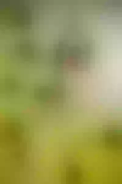 Live sex webcam photo for LorenAllen #6067048