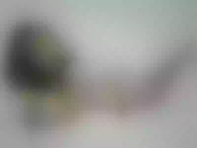 Live sex webcam photo for LennySuarez #5598000