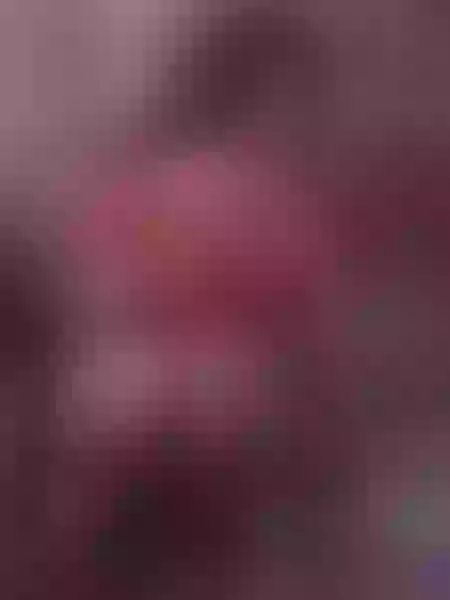 Live sex webcam photo for LennySuarez #6062994