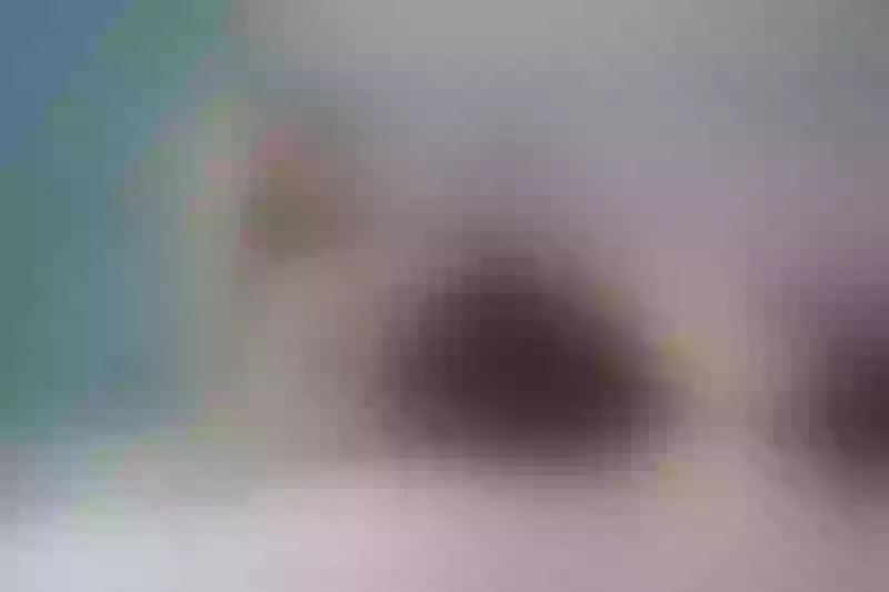 Live sex webcam photo for AntoniaDavis #5606863