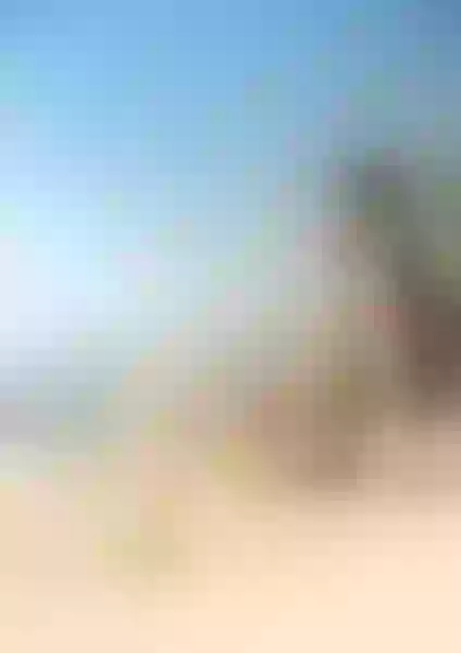 Live sex webcam photo for BrendaWilliam #6111186