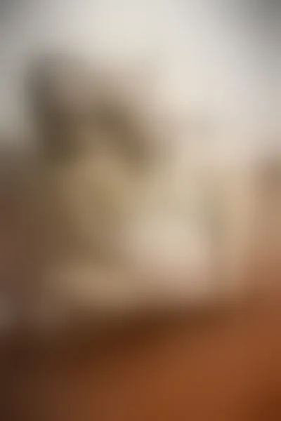Live sex webcam photo for AlanaVanegas #5662925