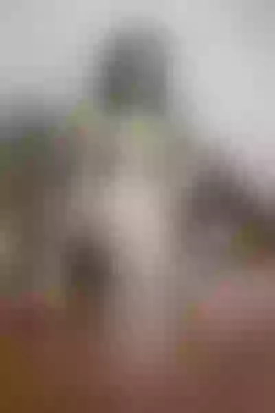 Live sex webcam photo for AlanaVanegas #5662929