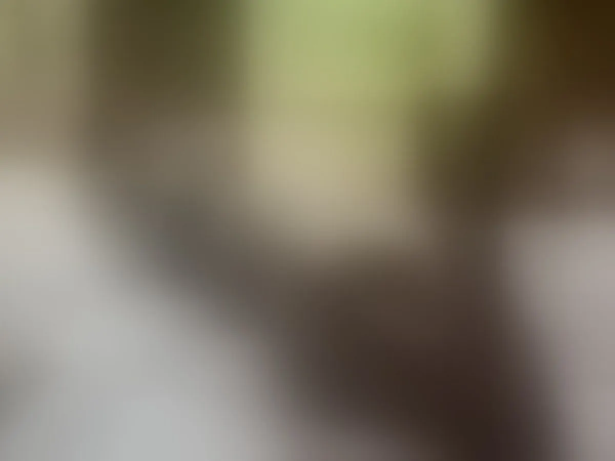 Live sex webcam photo for SophiaKarson #5839032