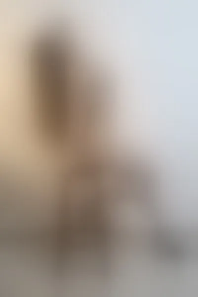 Live sex webcam photo for RouseWhite23 #6096829