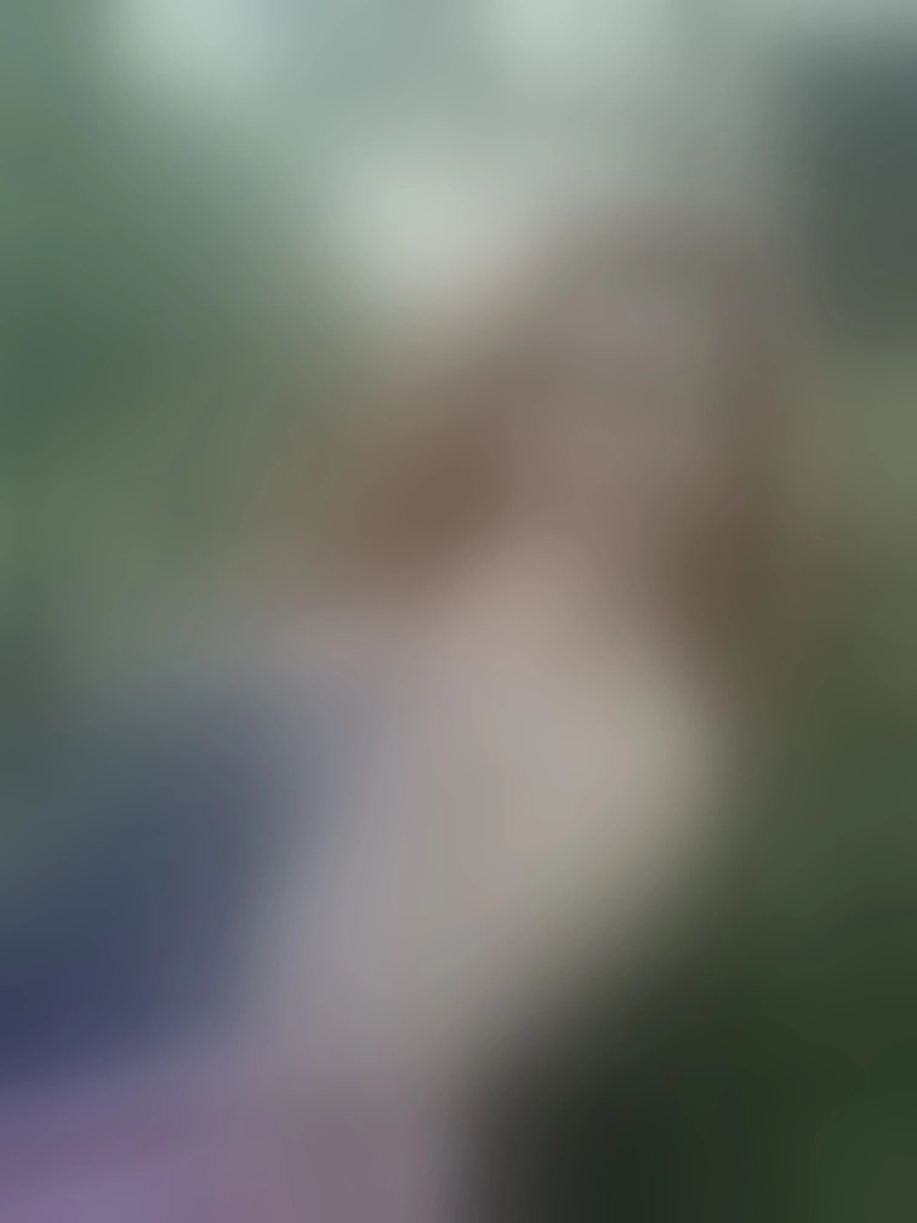 Live sex webcam photo for MeghanBrennet #7861686