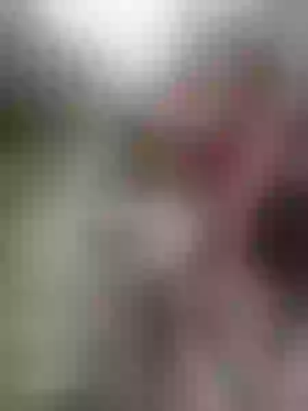 Live sex webcam photo for MeghanBrennet #7861710