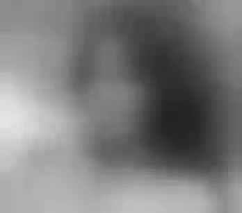 Live sex webcam photo for SquirtyButterfly #2937157