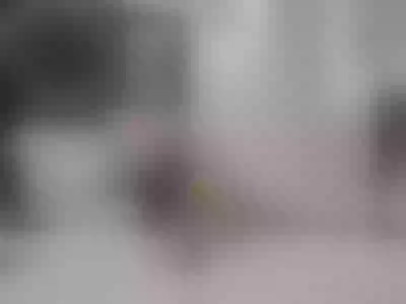 Live sex webcam photo for SofphiaParkers #5713589