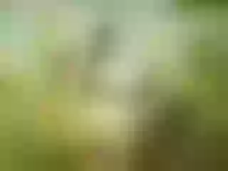 Live sex webcam photo for CloeFox18 #6424313