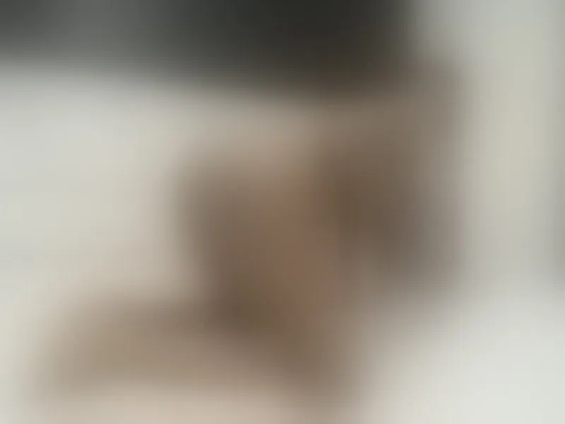 Live sex webcam photo for NatBrown #6265906