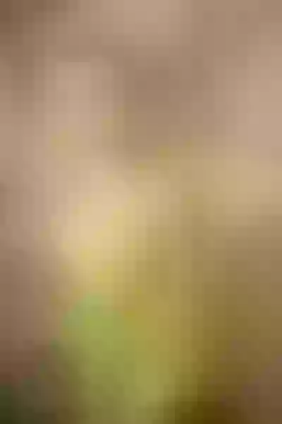 Live sex webcam photo for MaveParks #7900820