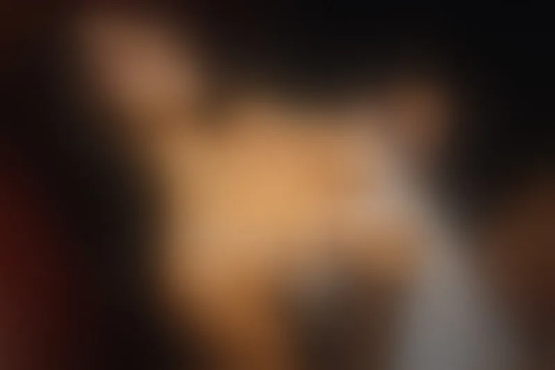 Live sex webcam photo for LunitaDeMiiel #6304757