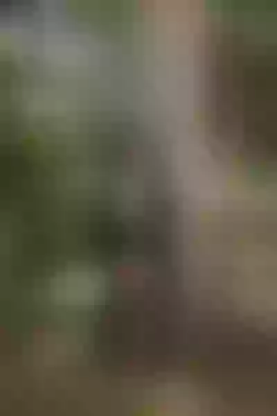 Live sex webcam photo for AishaWeathers #6526359