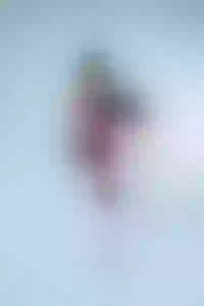 Live sex webcam photo for IsabelleFoxxi #7354971