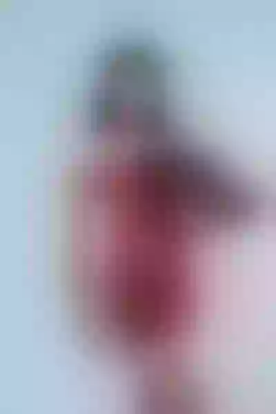Live sex webcam photo for IsabelleFoxxi #7354969