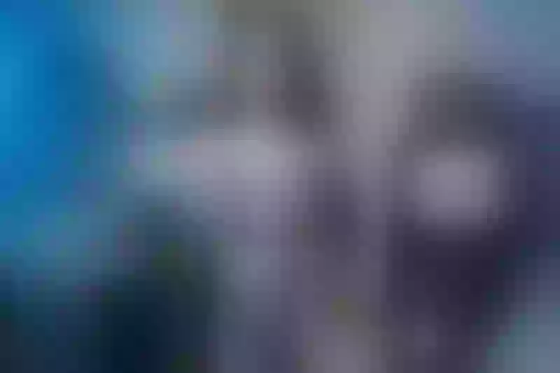 Live sex webcam photo for BellahThomson #5697197