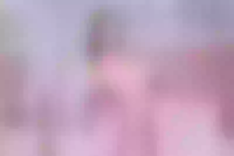 Live sex webcam photo for LindsayOwenn #5698154
