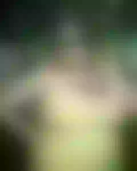Live sex webcam photo for SammyOwens42 #8149559