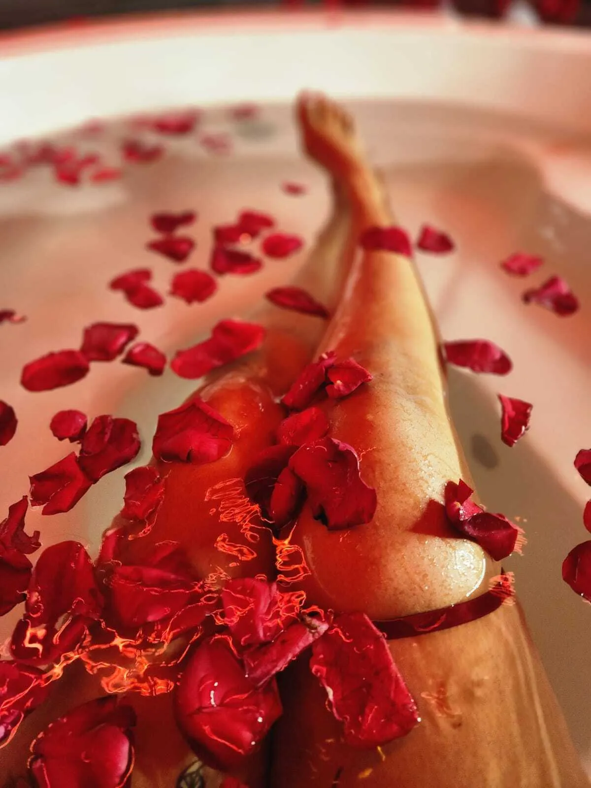 Live sex webcam photo for salmaanaur #7804036