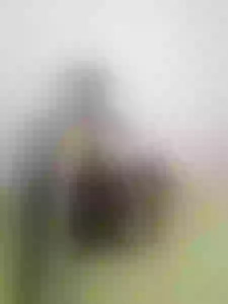 Live sex webcam photo for BubblechocateXX #5745456
