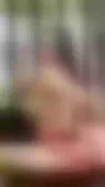 Live sex webcam photo for ConniBrown #5750495