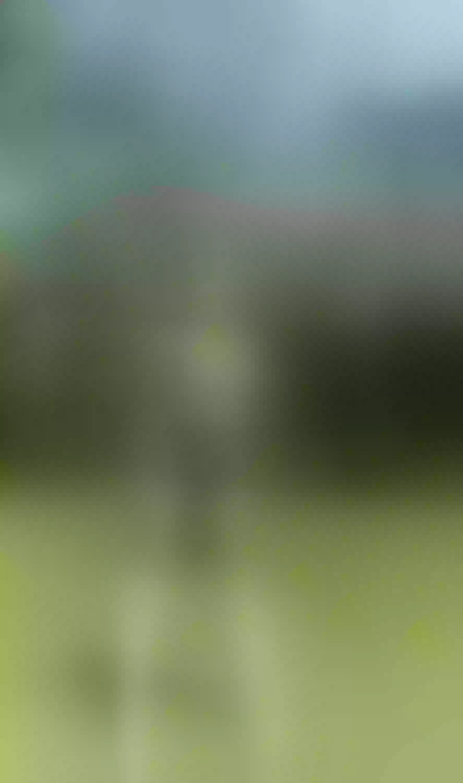 Live sex webcam photo for DanyFranco #7415188