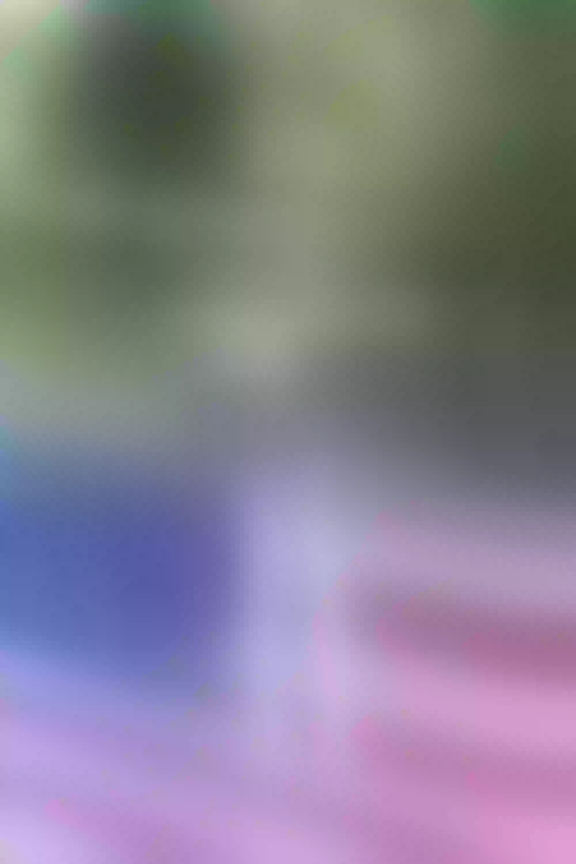 Live sex webcam photo for DanyFranco #7415184