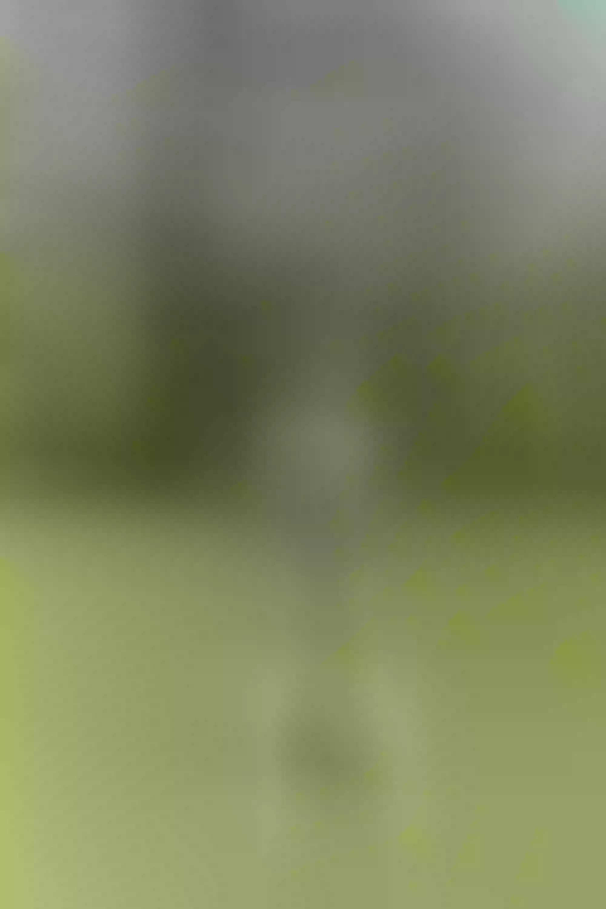 Live sex webcam photo for DanyFranco #7415192