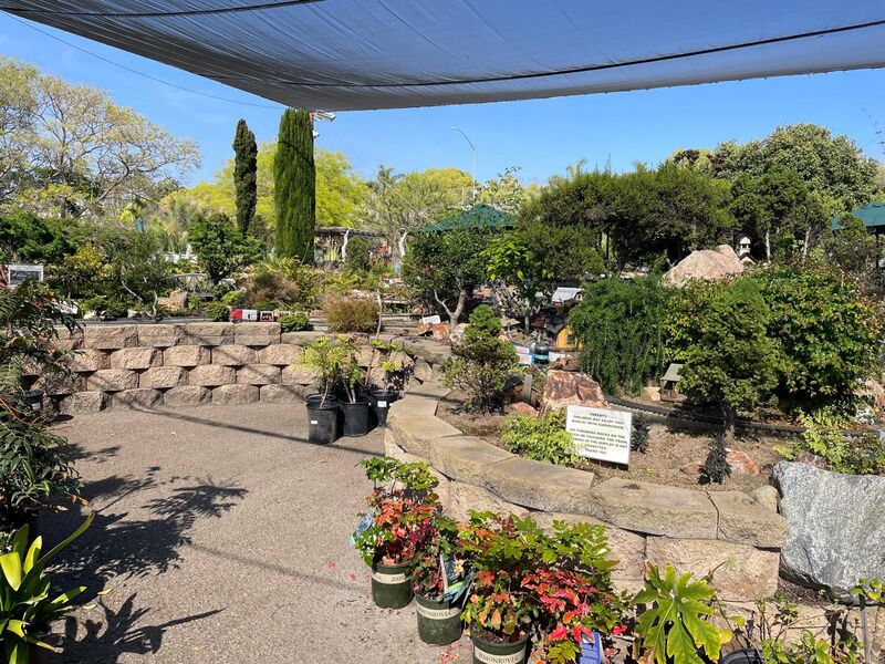 Live sex webcam photo for Danisskaf #6294530