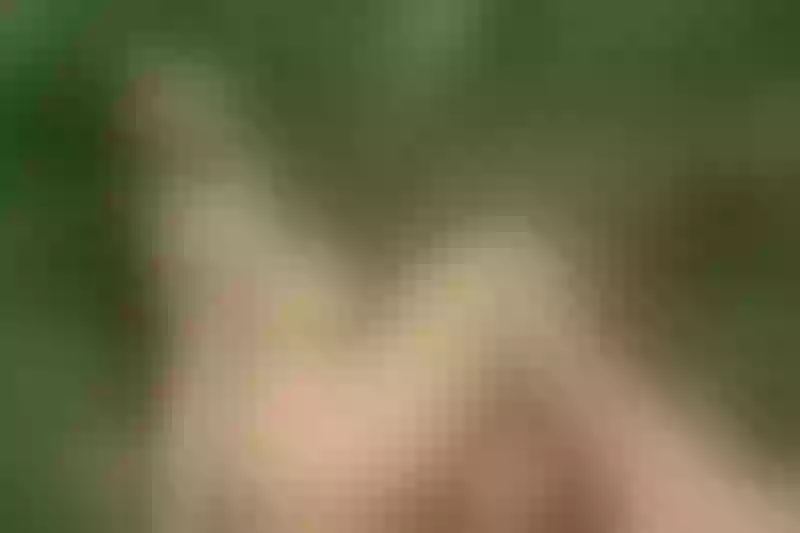 Live sex webcam photo for DahannaBloom #6250744
