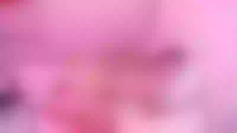 Live sex webcam photo for MelannieLove #6257418