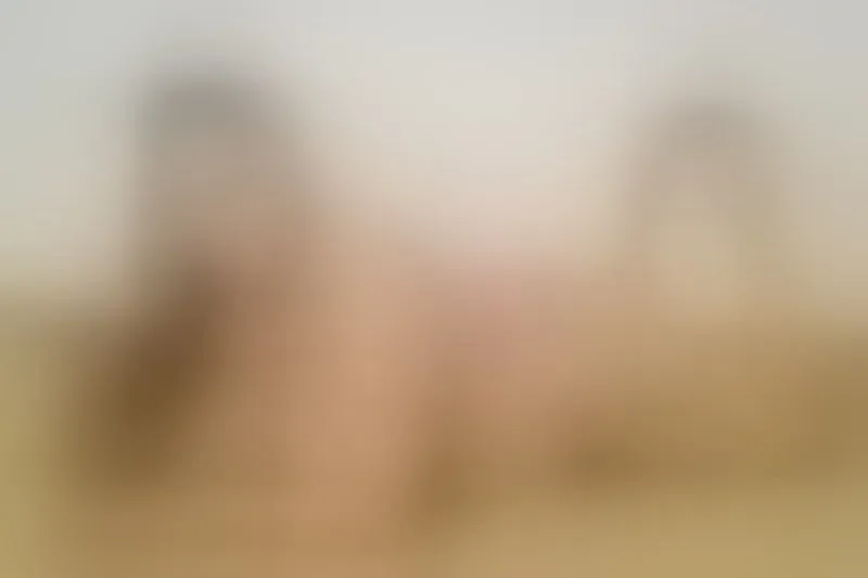 Live sex webcam photo for OlivaFoxx19 #7280871
