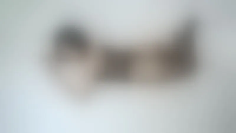 Live sex webcam photo for CarolJackson #6183117