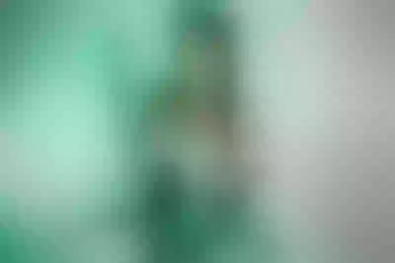 Live sex webcam photo for CarolineKim #6100919