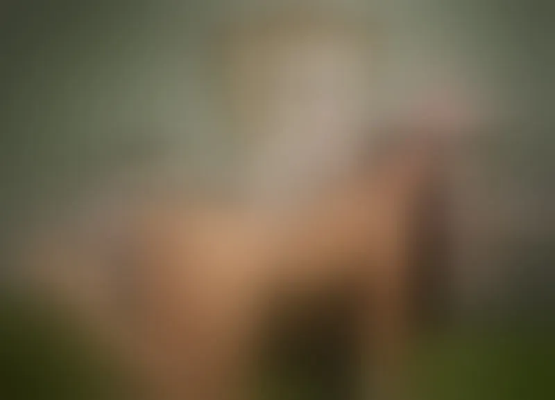 Live sex webcam photo for CarolineKim #6100941