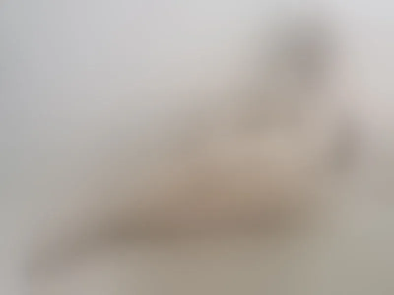 Live sex webcam photo for KatthyJoness #6408785