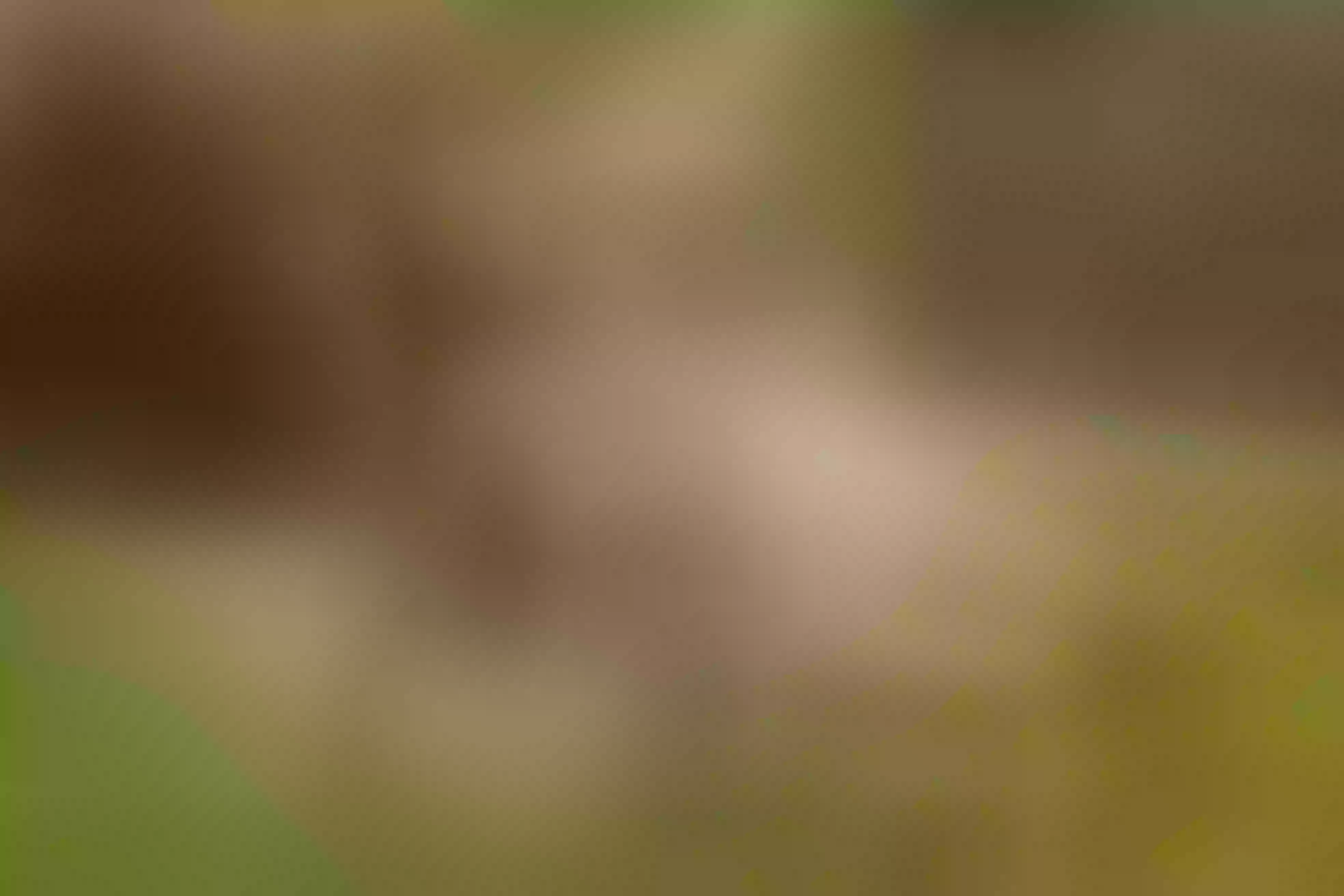 Live sex webcam photo for AbbyCoopers #7840411