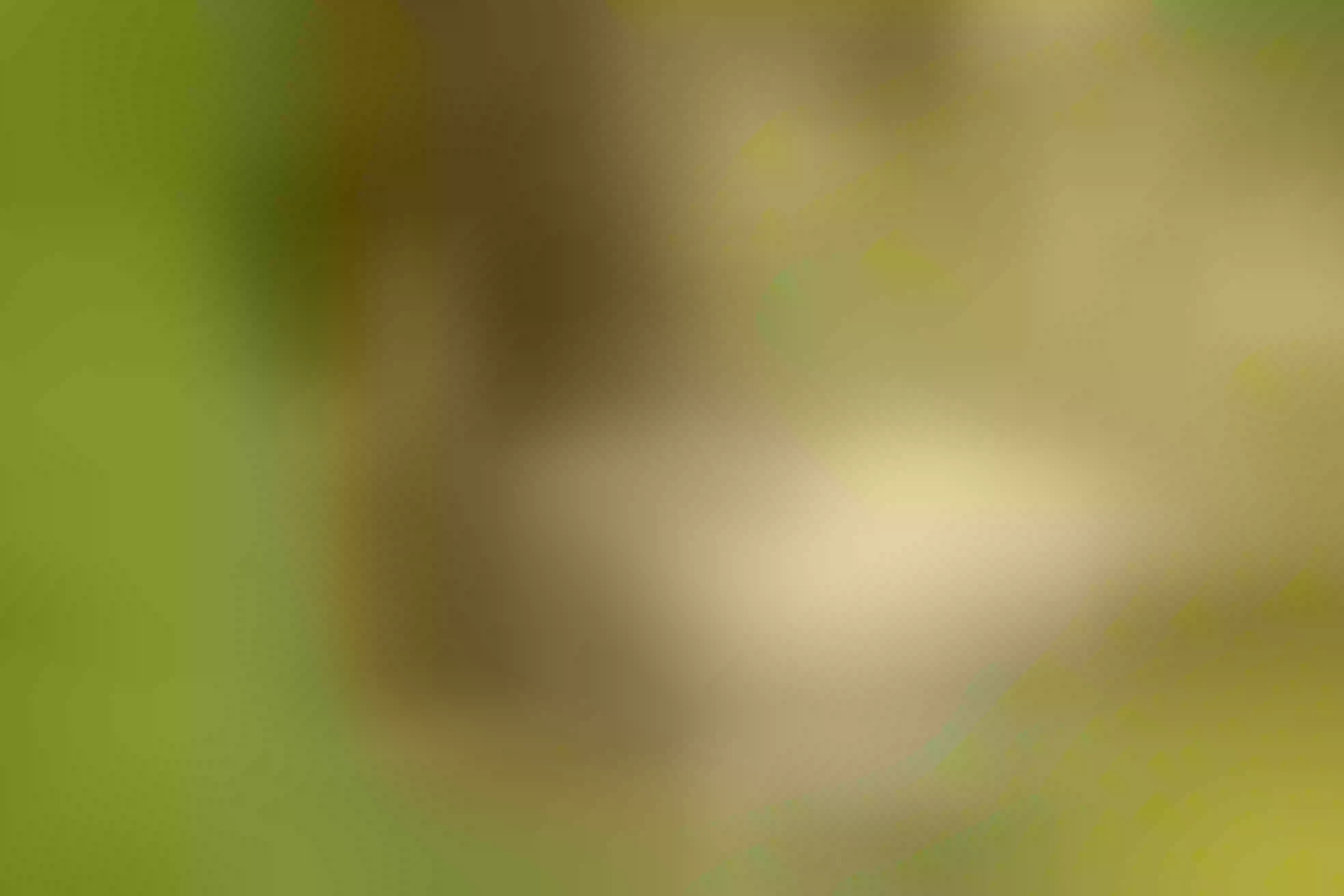 Live sex webcam photo for AbbyCoopers #7840412