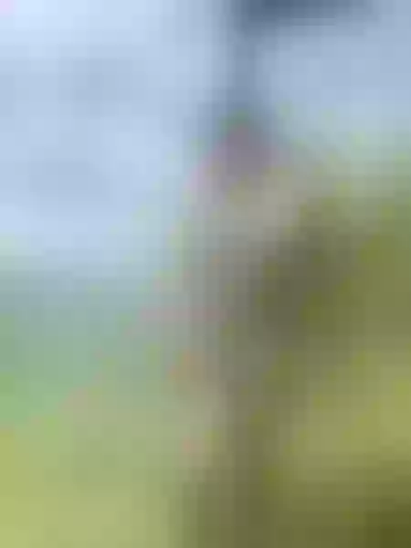 Live sex webcam photo for VictoriaGarciaa #6490217