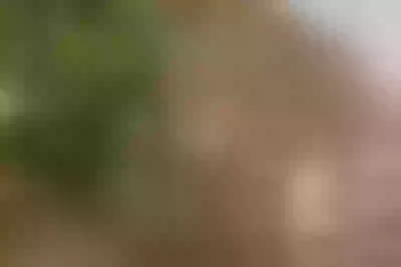 Live sex webcam photo for AlynJones #5880133