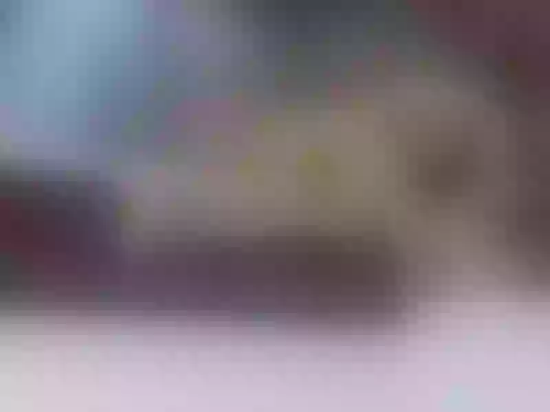Live sex webcam photo for RissaReys #6040580