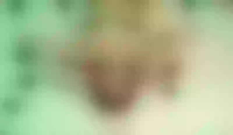 Live sex webcam photo for SofiOliveira #6069430