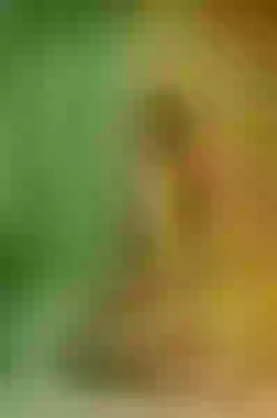 Live sex webcam photo for SofiOliveira #6069425
