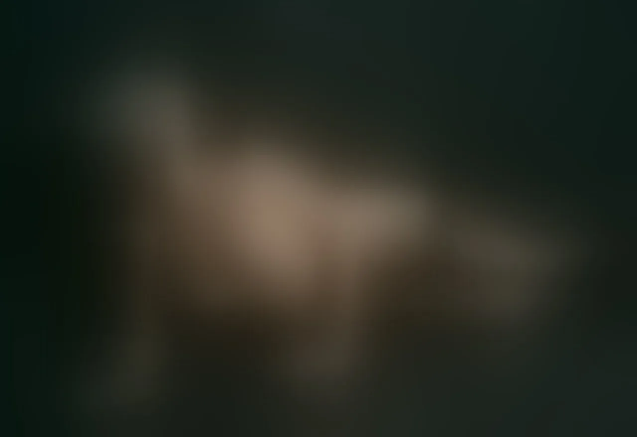 Live sex webcam photo for ElegantEva69 #8426229