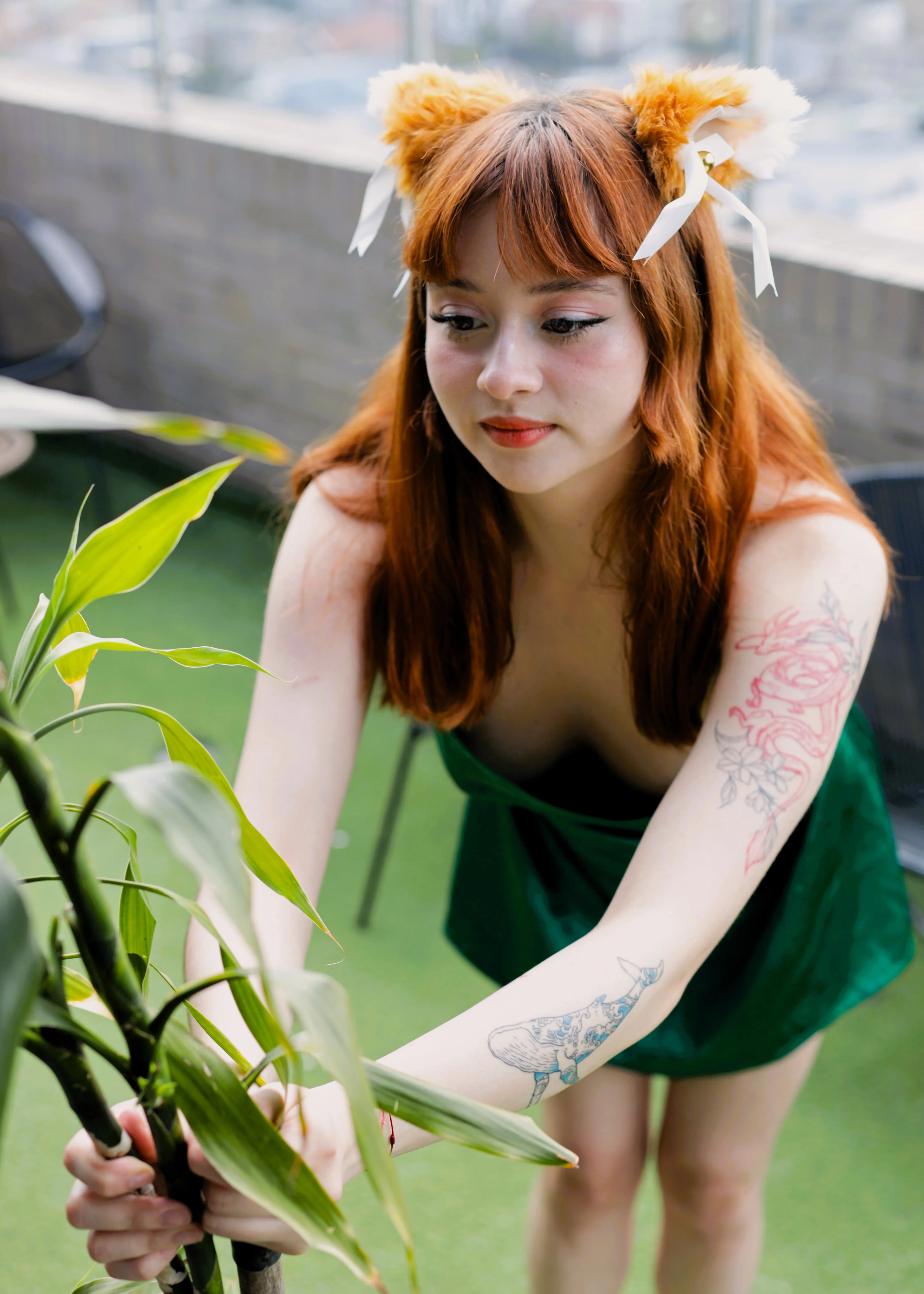 Live sex webcam photo for MollyRusssell #7981985