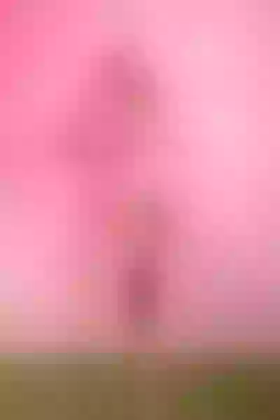Live sex webcam photo for MalaikaJon #6163514