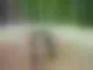 Live sex webcam photo for MADDISSONN #6262183