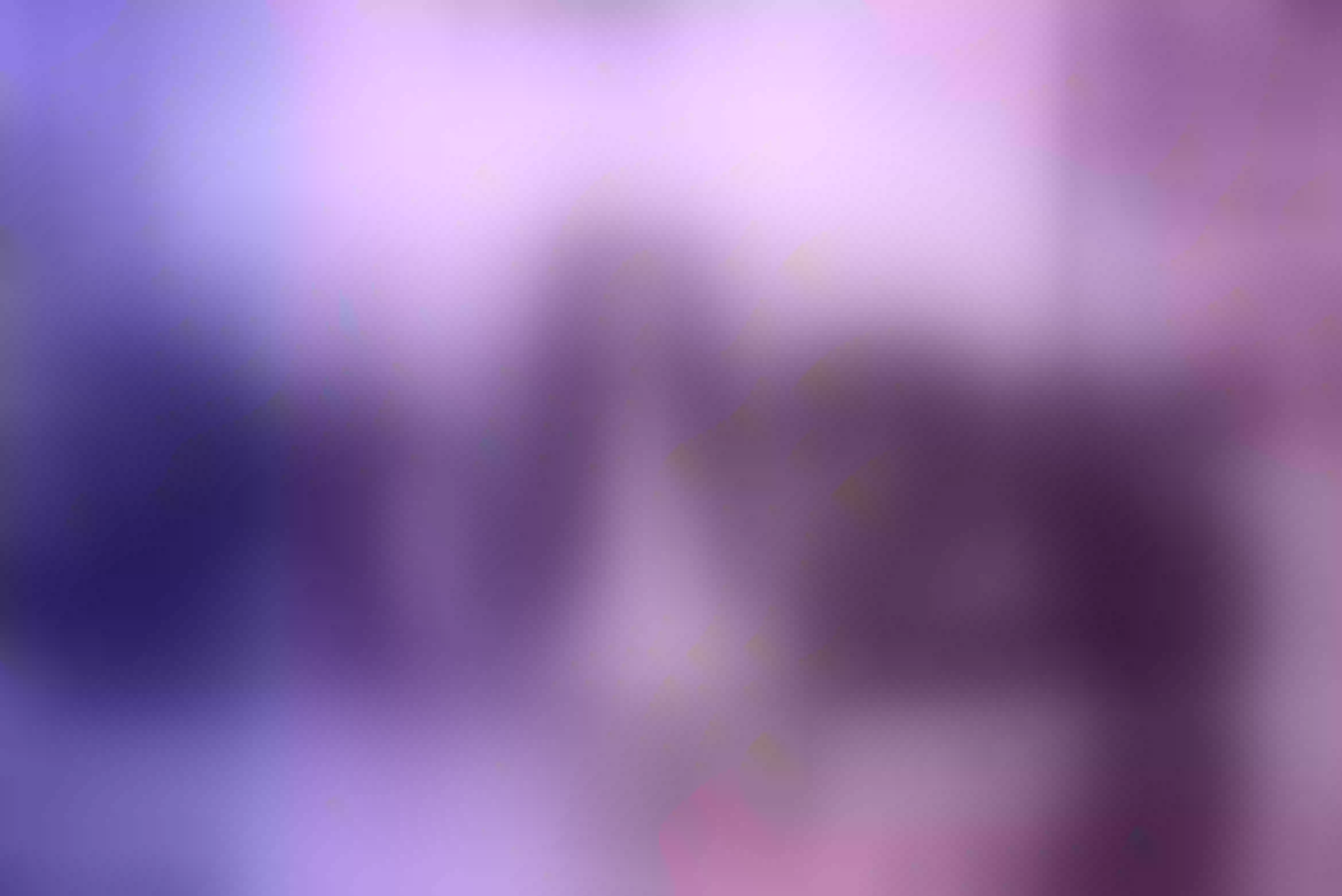 Live sex webcam photo for HaileeRoberts #8177846